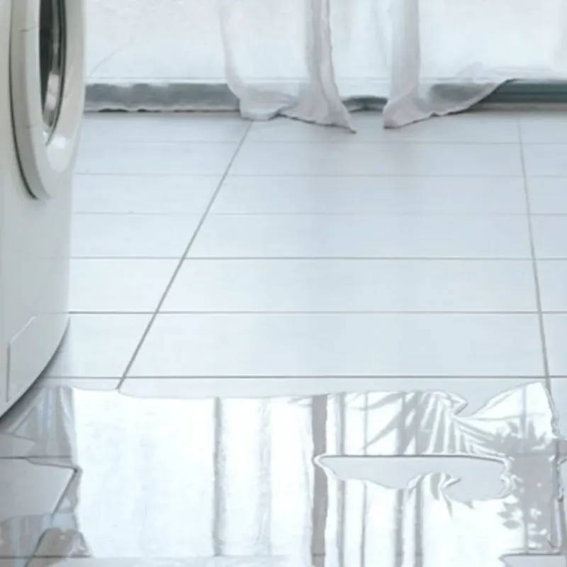 Appliance Leak Cleanup in Davis County, IA