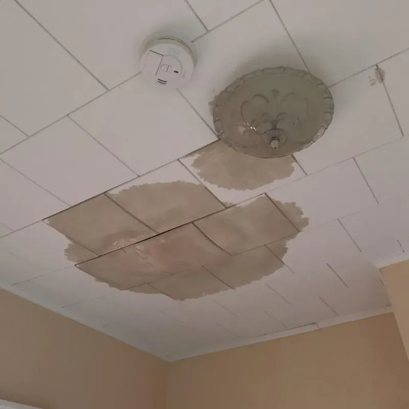 Ceiling Water Damage Repair in Davis County, IA