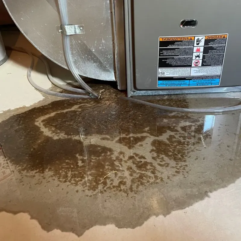 Pipe Burst and Leak Restoration in Davis County, IA