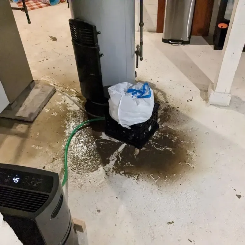 Sewage Backup Cleanup Service in Davis County, IA